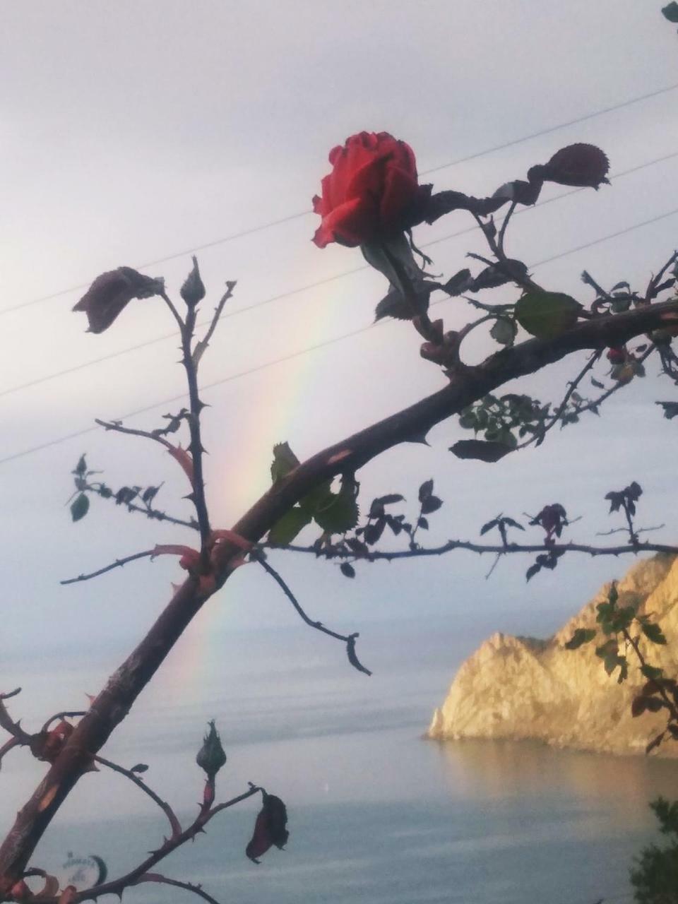 La Serra Sul Mare Monterosso al Mare Exterior foto